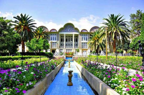 بوتاکس تزریق نکنید اگر ..... | بهترین مرکز تزریق ژل و بوتاکس در شیراز